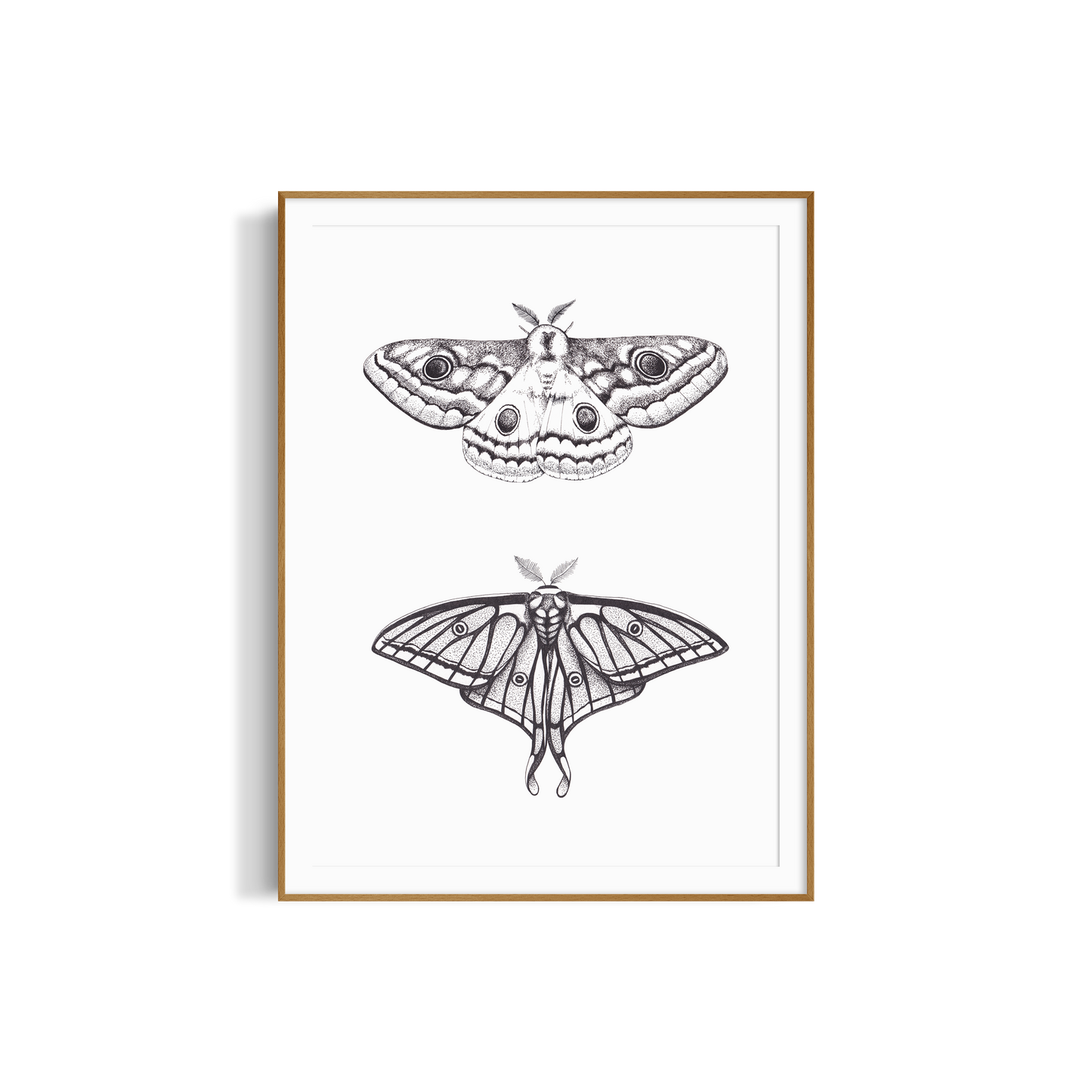 Moon and Moth I - Set of 2 curated artworks